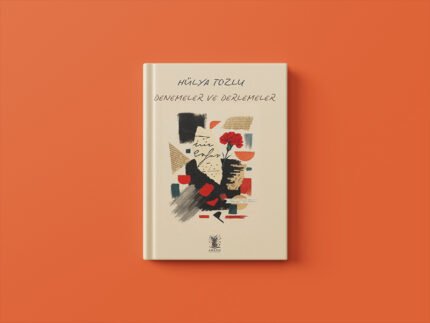 DENEMELER VE DERLEMELER